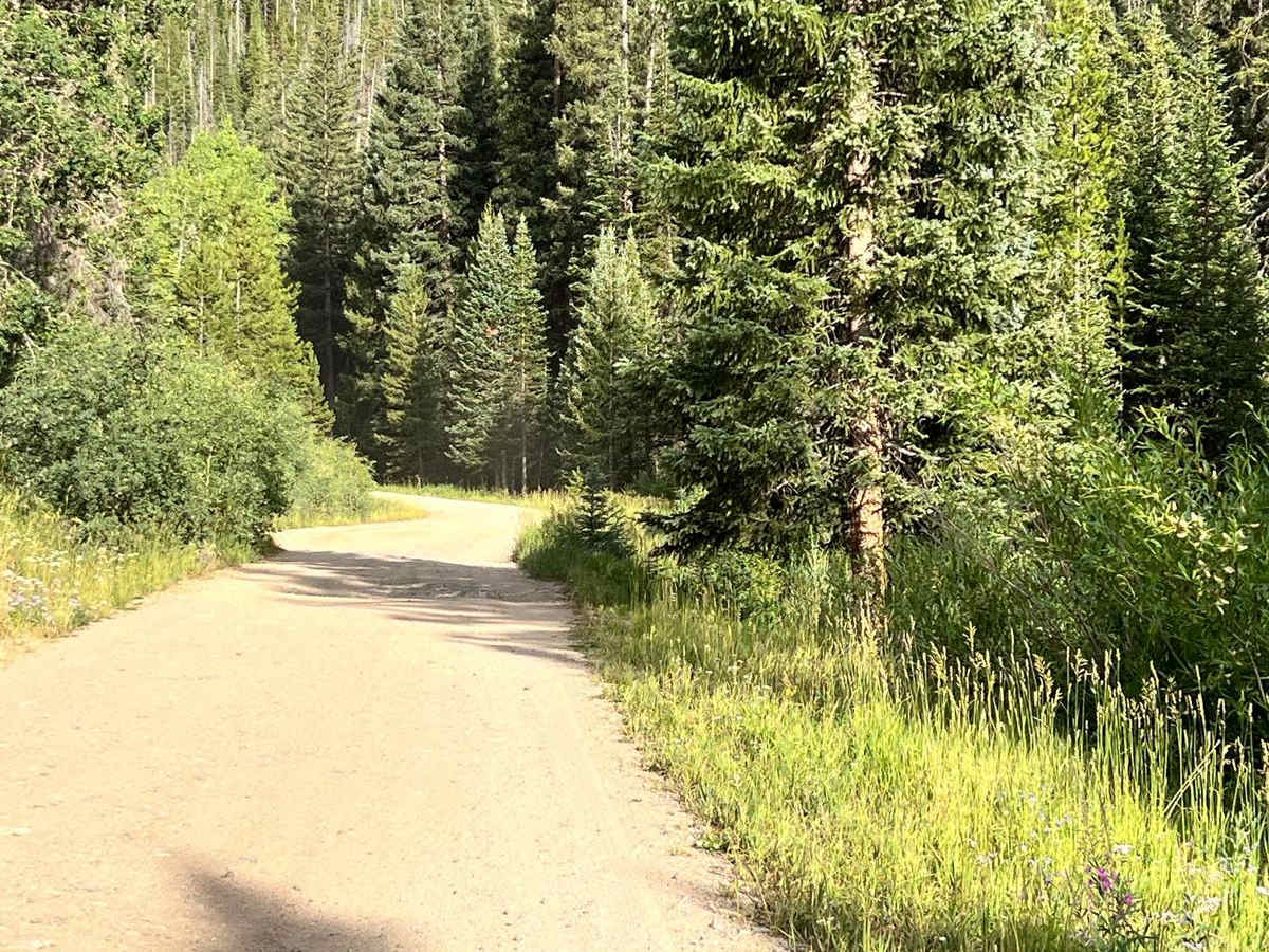 Keyser Creek Road - FS 139 photo 3