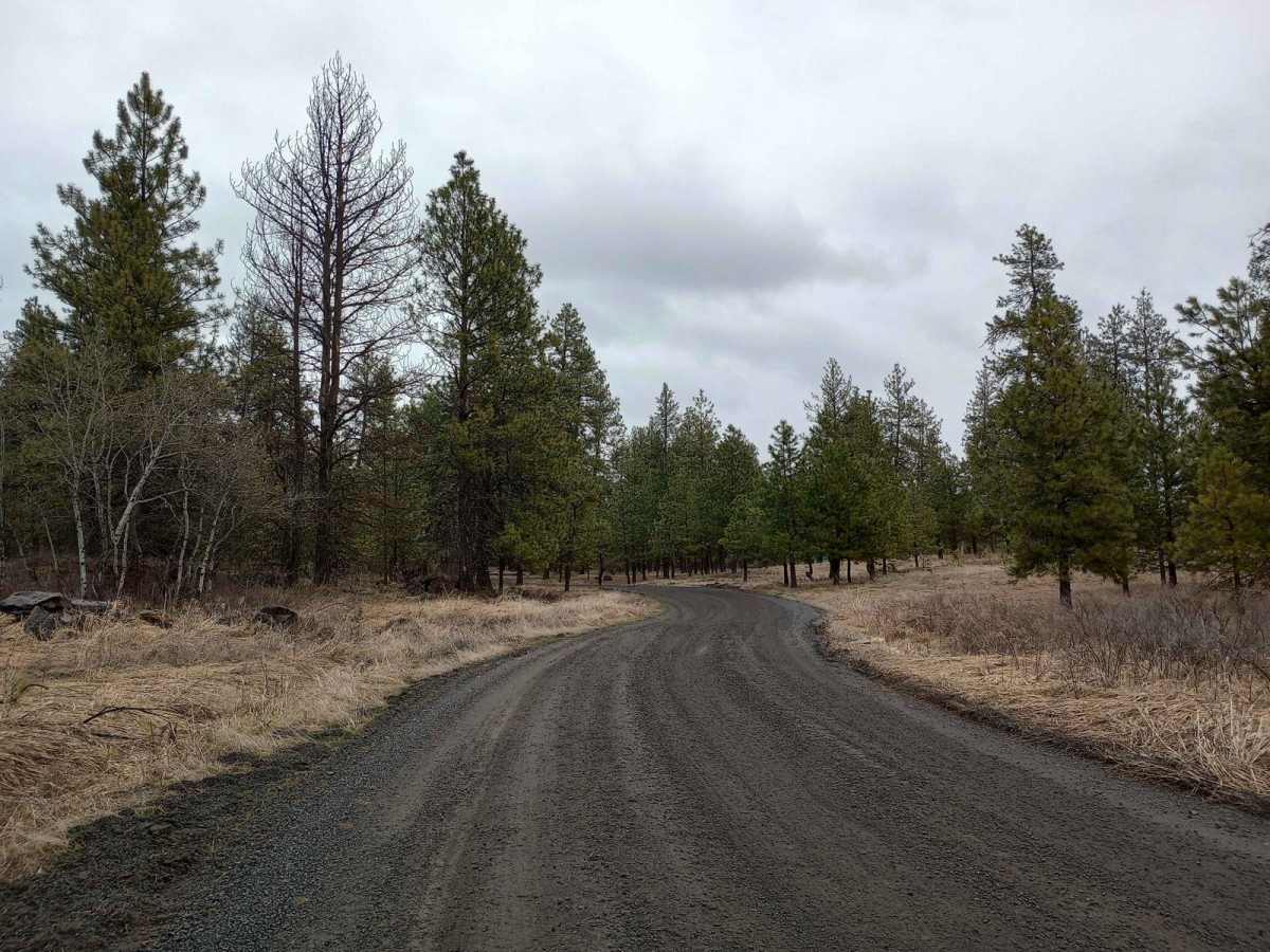 Turnbull's Pine Creek Auto Route photo 3