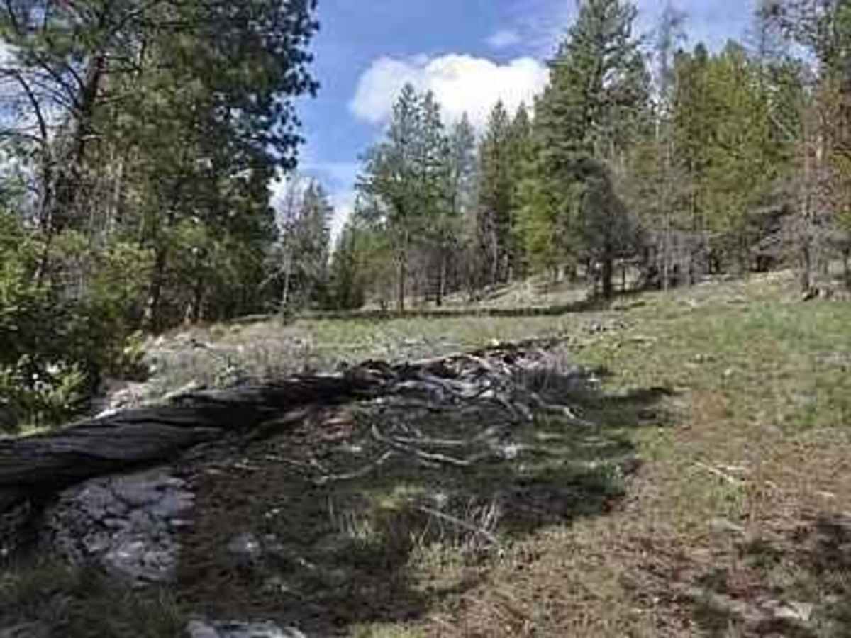Hubbart Dam Rd trail photo