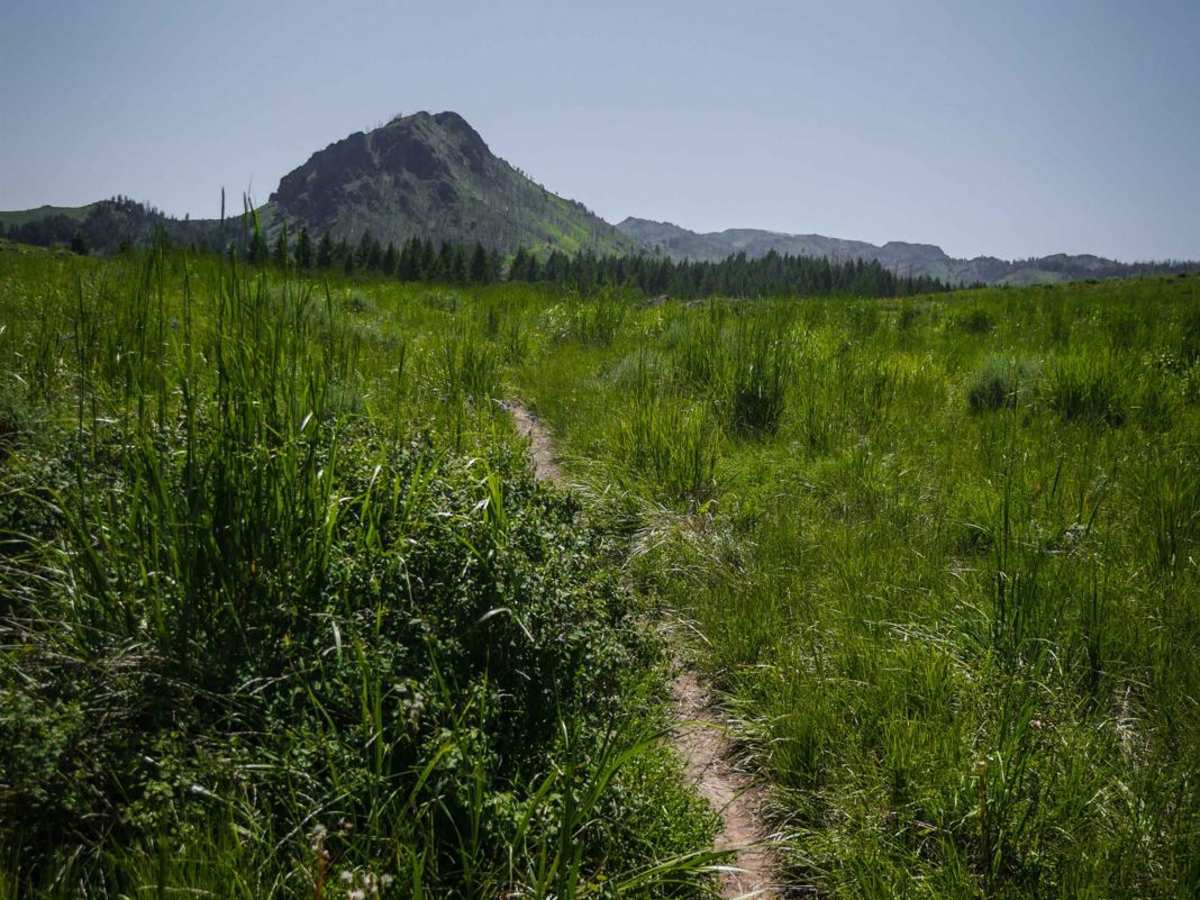 Cow Creek Shortcut trail photo