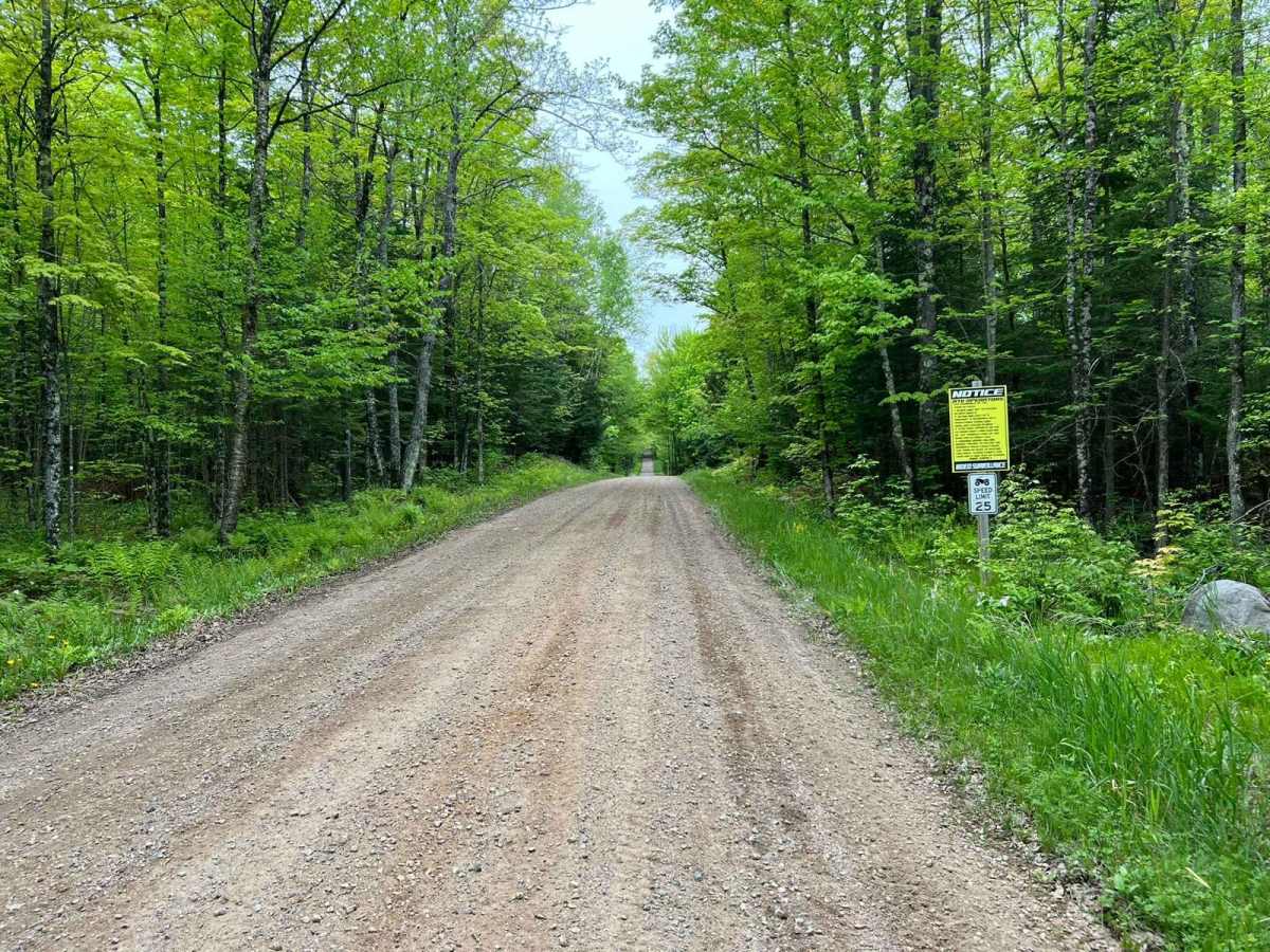 Wolf River Road Trail photo 4