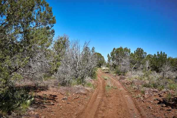 Prairie Train Trail