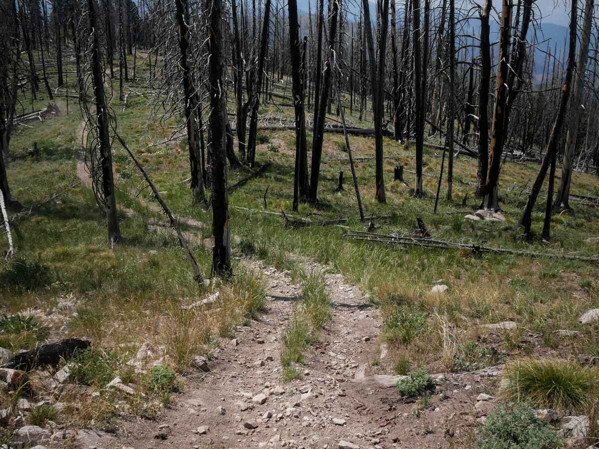 Upper Harden Creek ATV photo 6
