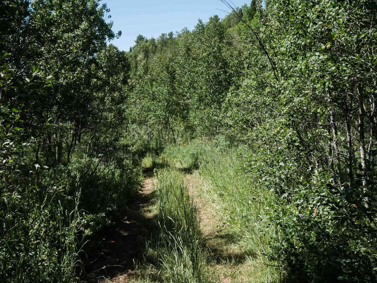 North Sulphur Canyon #5245  photo 4