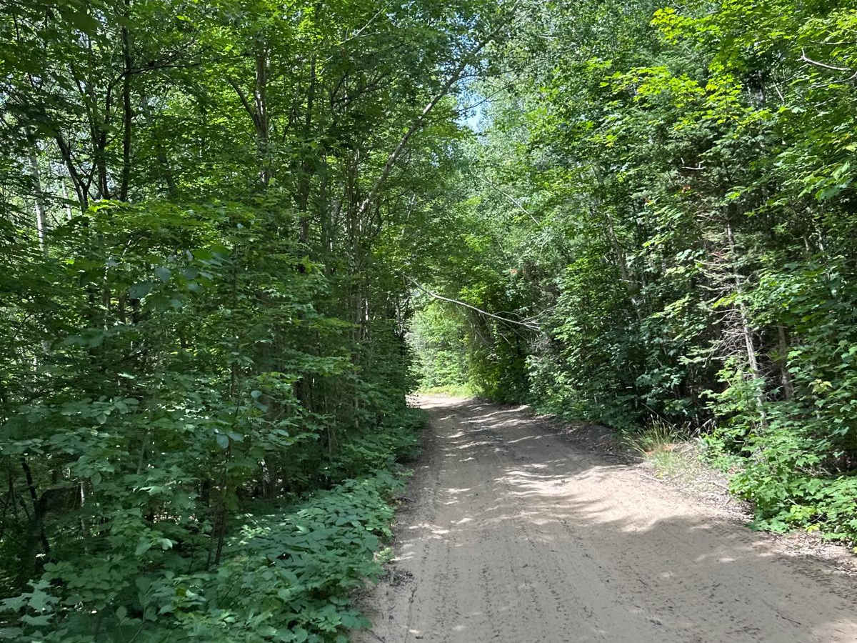CR 446 to CR 415 photo 5