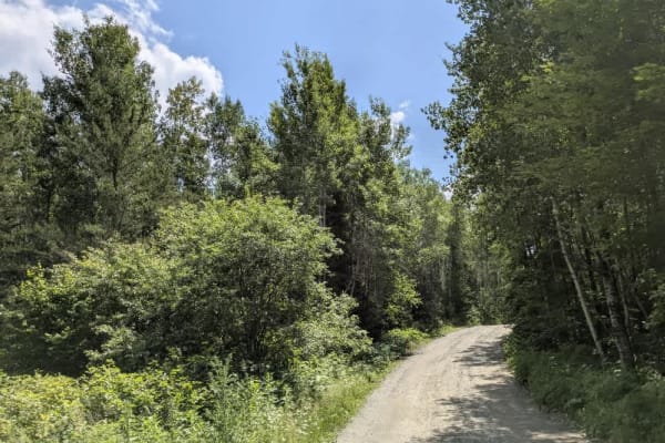 Birch Lake Access Road