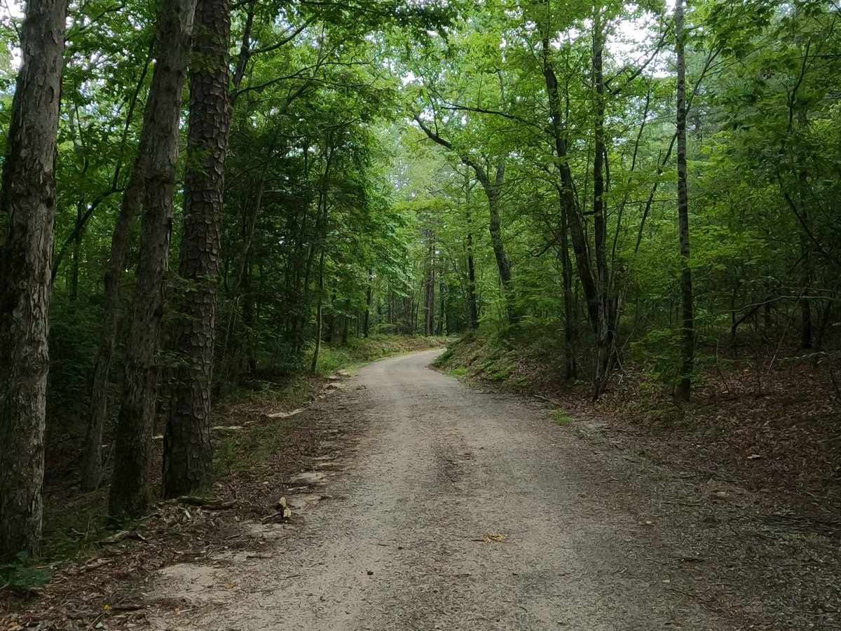 Rock Mountain Road photo 5