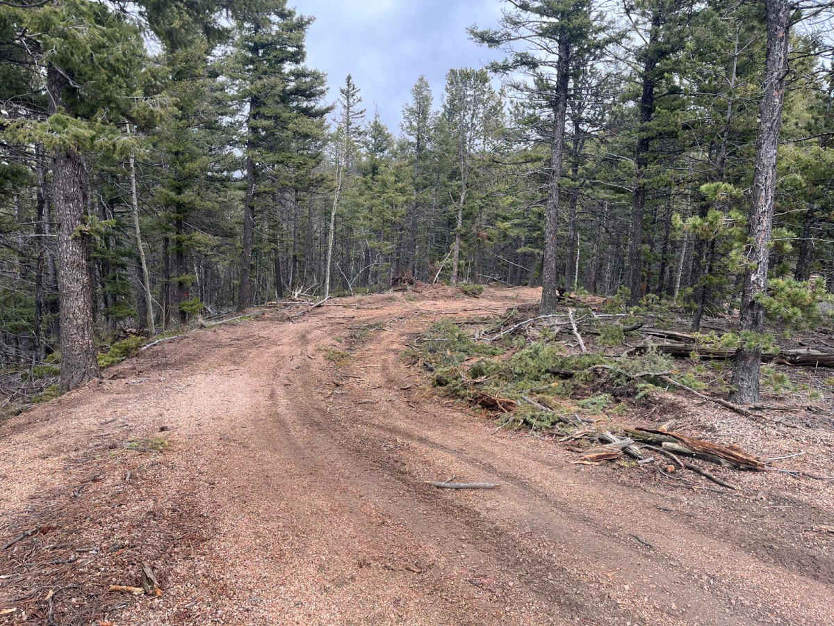 Powerline East Road 318 photo 4