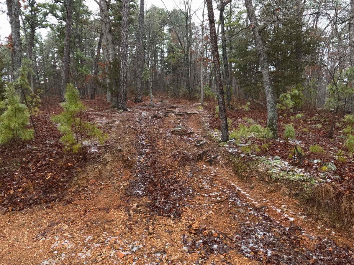 Timber Lane Spur B - FS 2514B photo 6