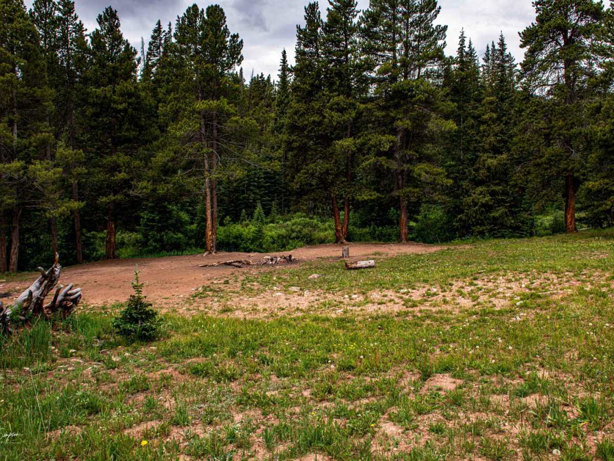 Forest Road 801 photo 4