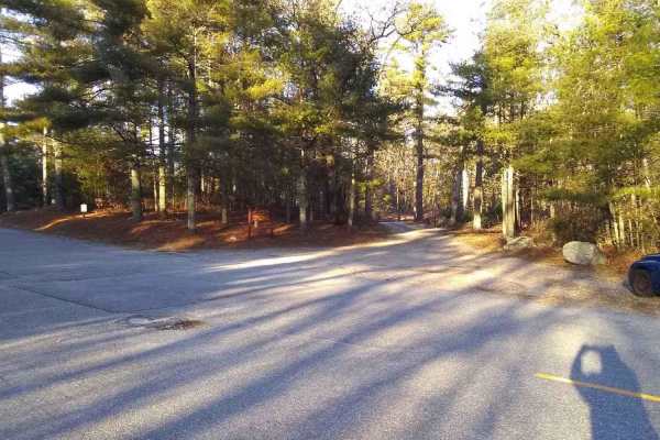 Center Trail
