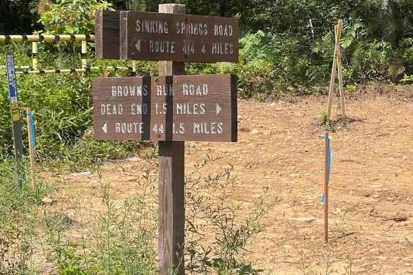 Sinking Springs Road