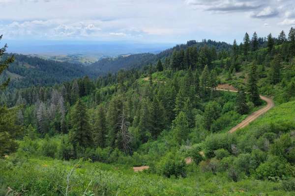 FR 306 - Iron Mountain Trail