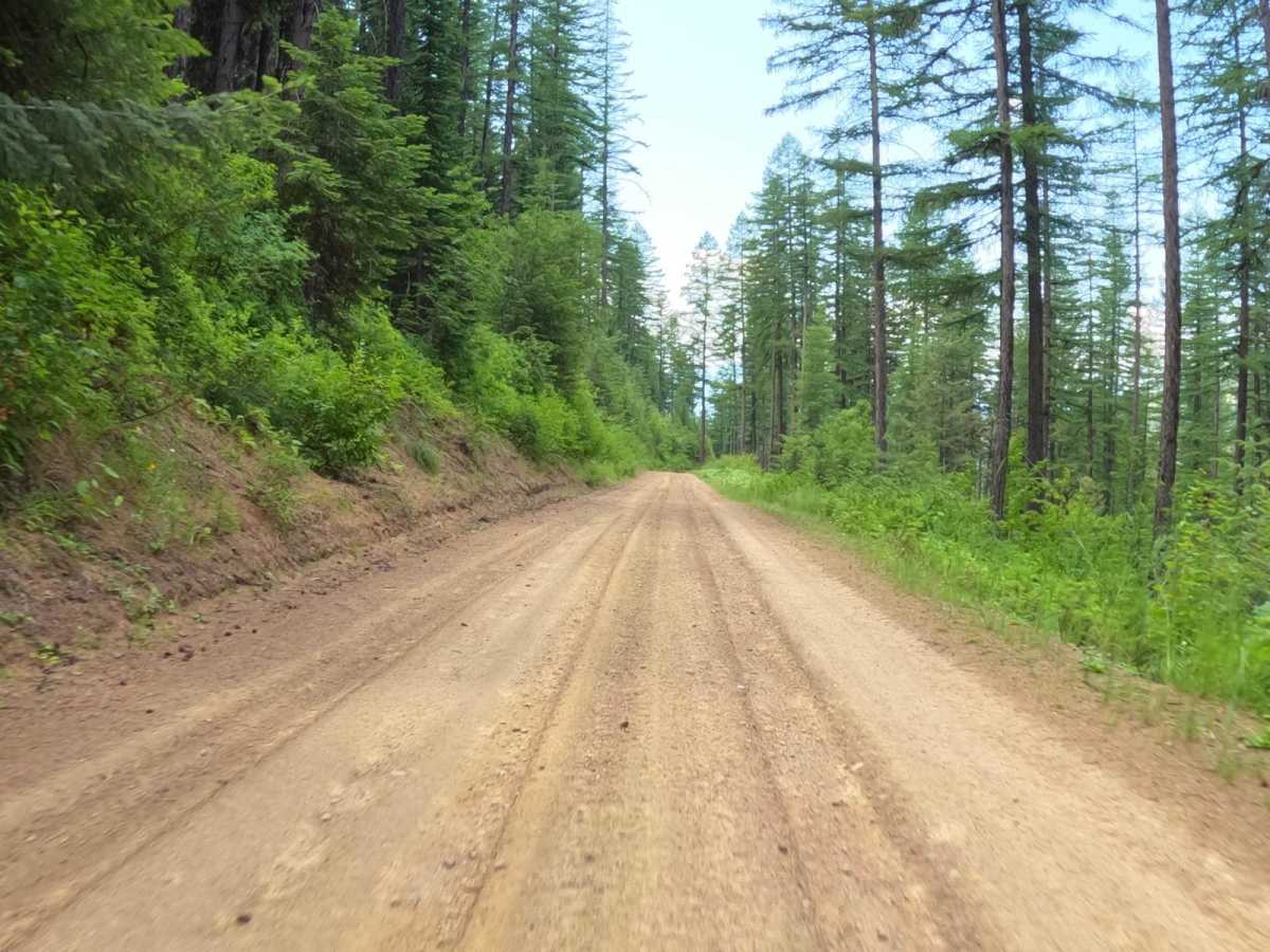 Flat Creek Road - Pardee Creek Road photo 3