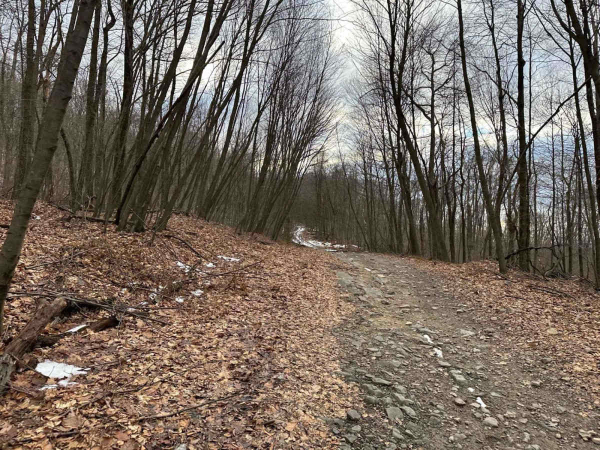 Ashland 84 photo 6