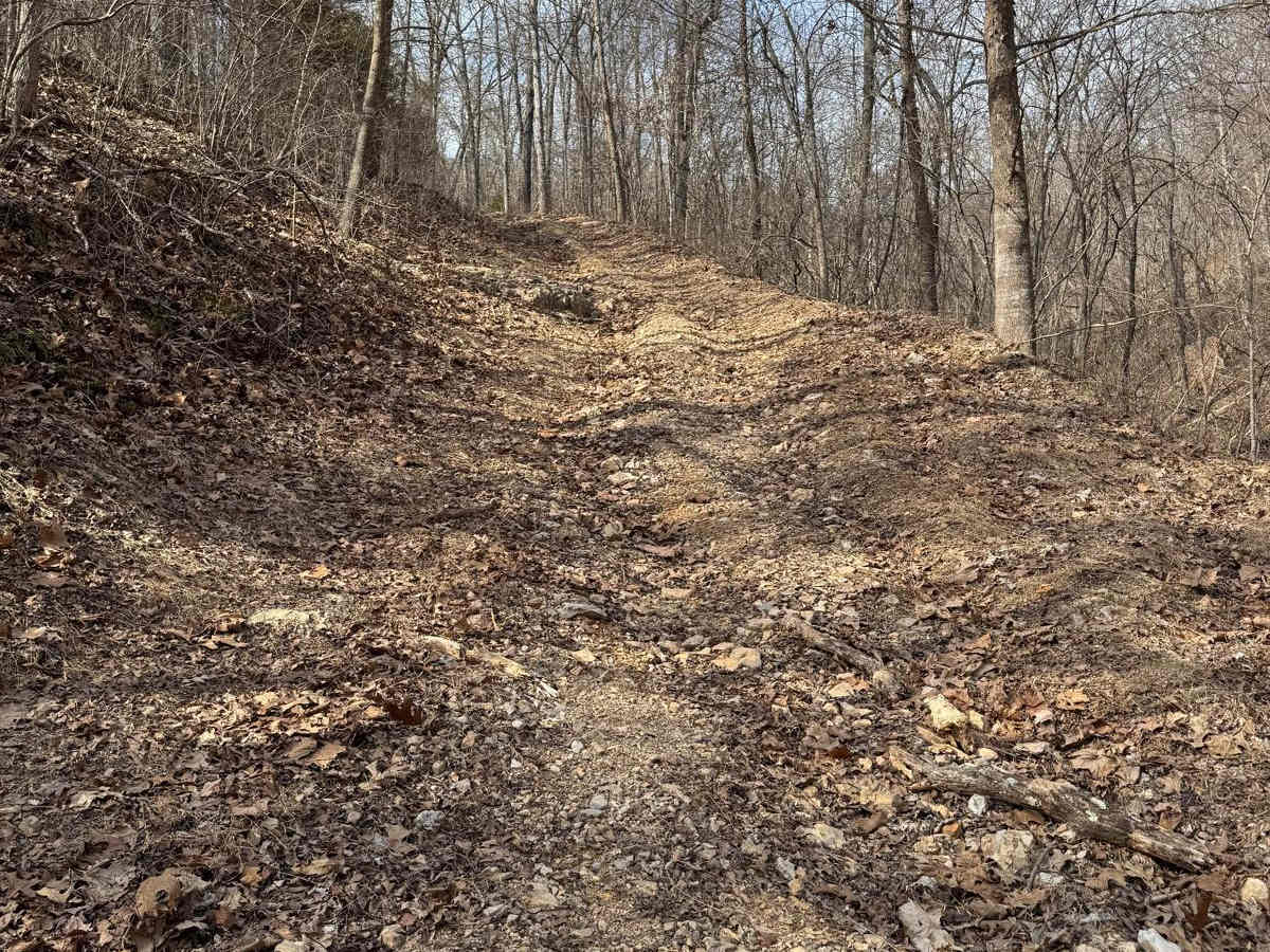 Green 431 trail photo