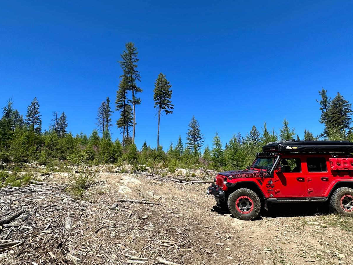 Rhino FSR trail photo