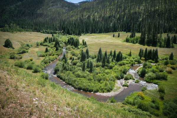 Bear Creek Trail