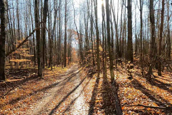Twin Creek Twisty Trail