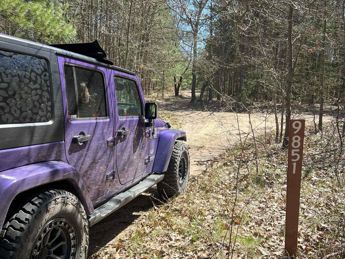 NFS 9851 trail photo