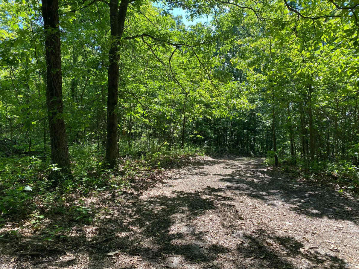 Eagle Ridge photo 3