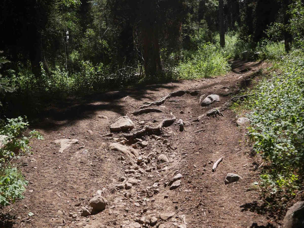 Bailey Creek #3331 photo 6