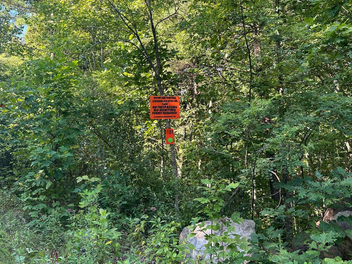 131 trail photo