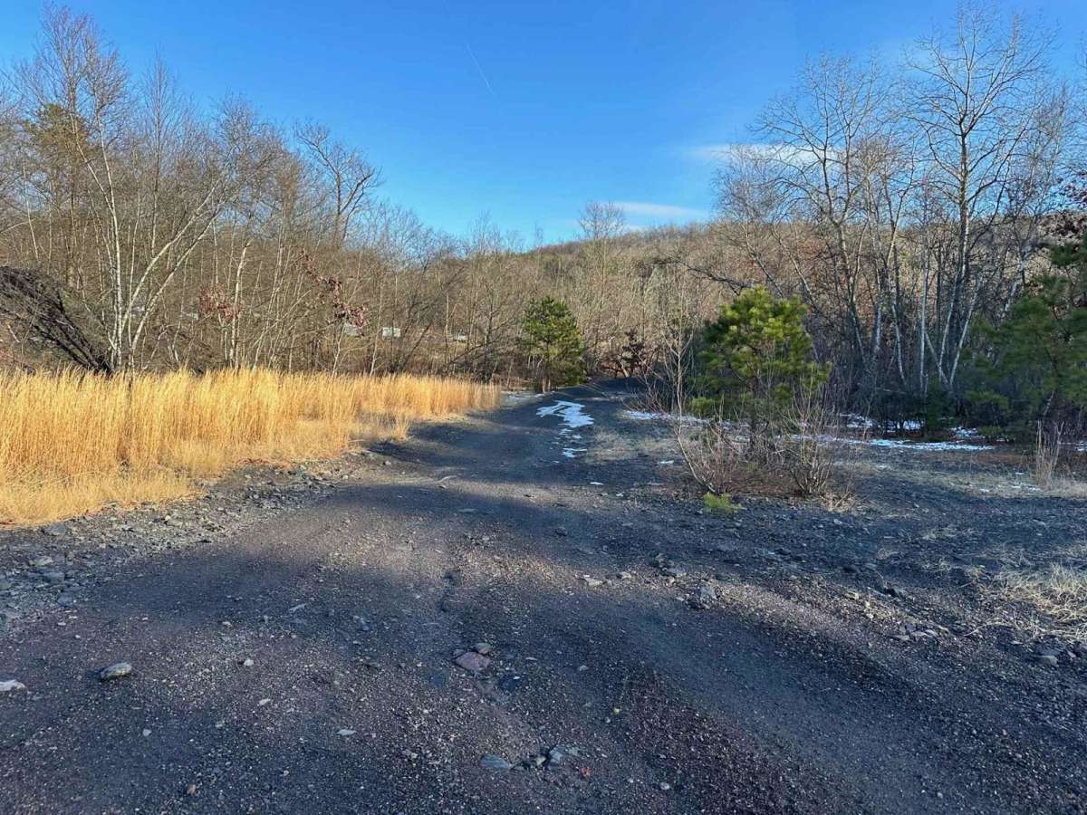 Locust Gap Highway photo 4