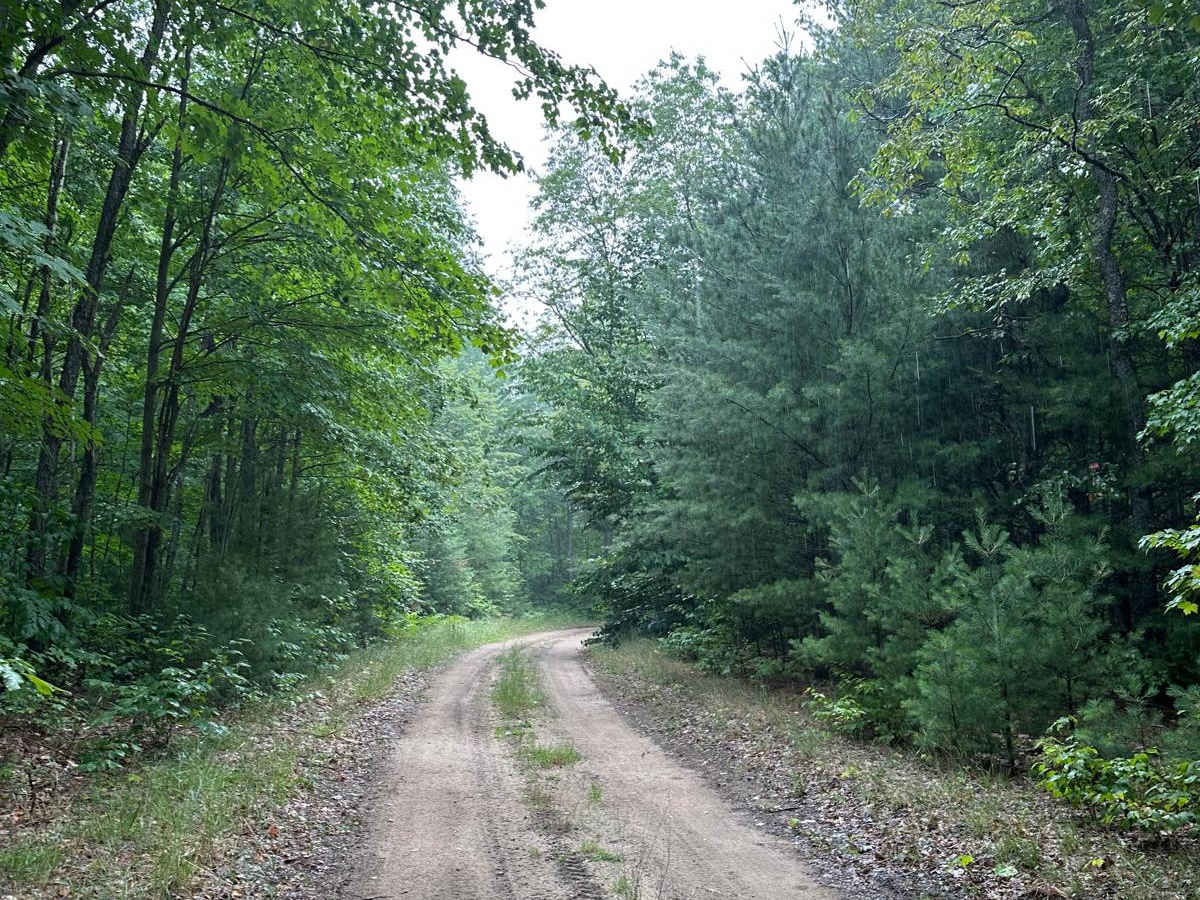 Brozofsky Road photo 4