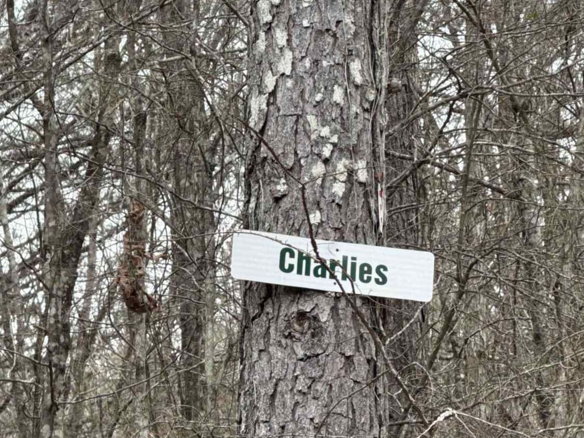 #96 Charlie's Trail trail photo