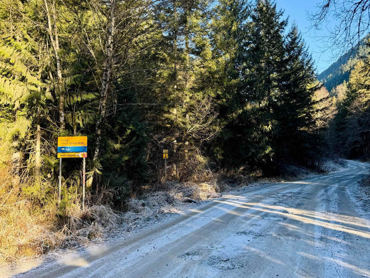 Foley Forest Service Road (FSR) photo 3