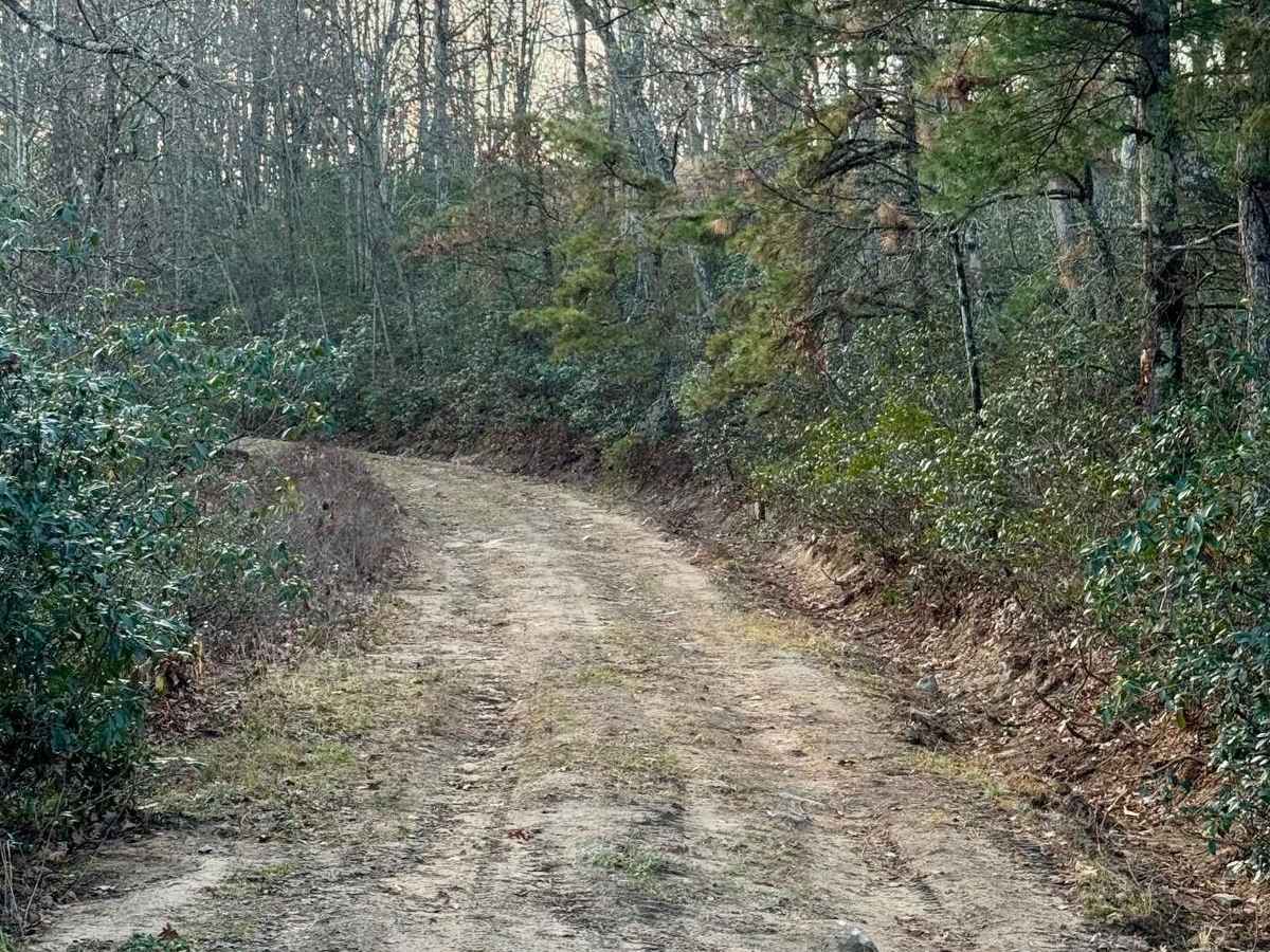 Shoemaker Ridge Road photo 4