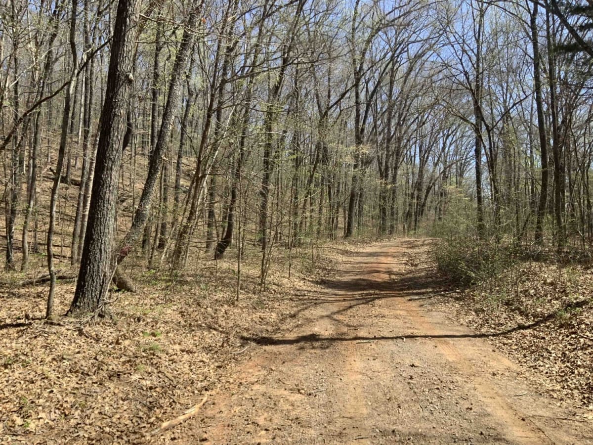 Warloop Road - 1567a photo 2
