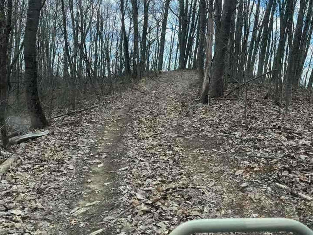 Trail 88 photo 3