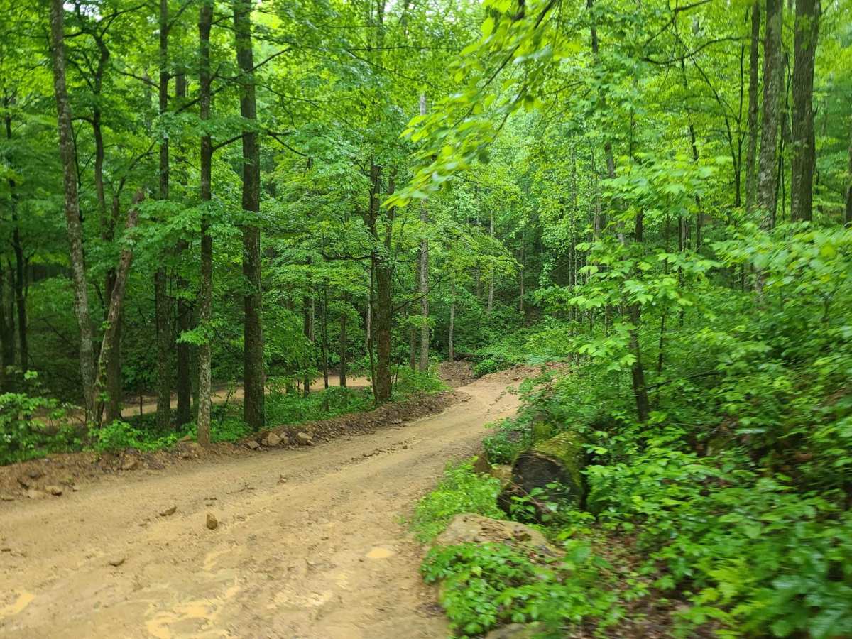 Ride Royal Blue Trail - Trail 27 trail photo