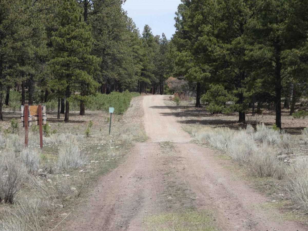 Kiowa Mountain photo 2