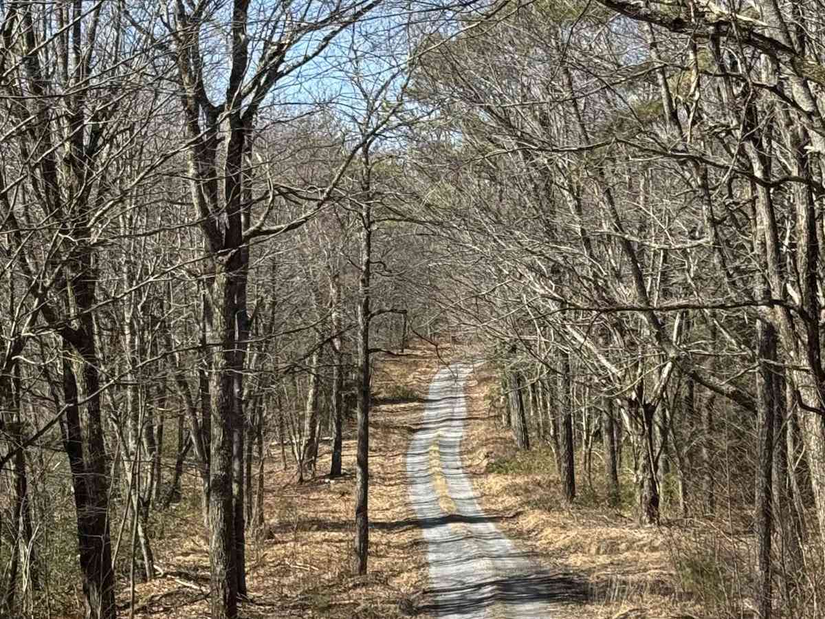 Barney's Ridge Road photo 4