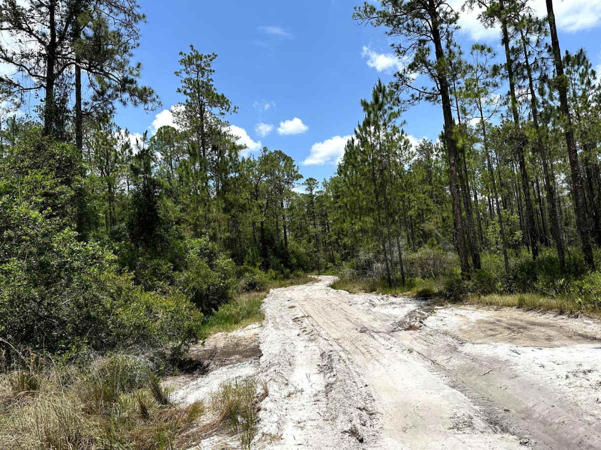 Gator Hole Throughway photo 2
