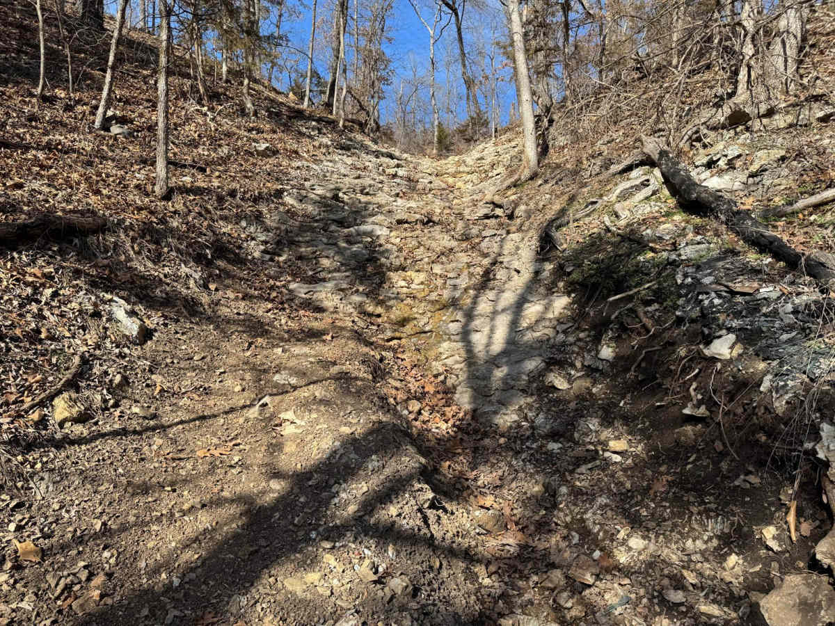 Black Widow 389 trail photo