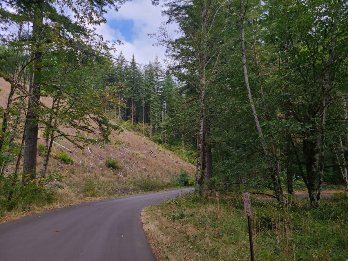 Gentle Campers Offroad Creekside Drive photo 4
