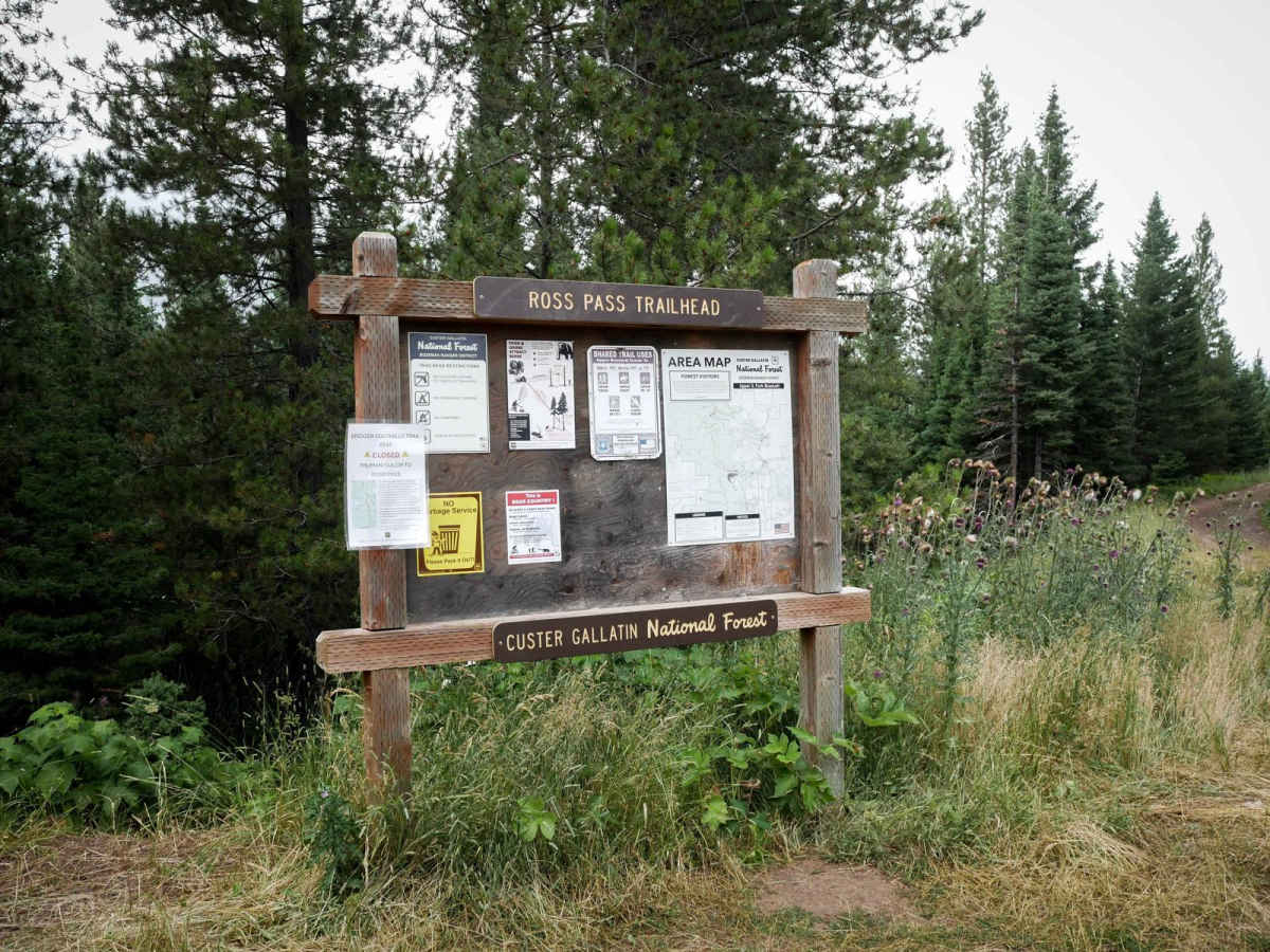 Ross Pass photo 6