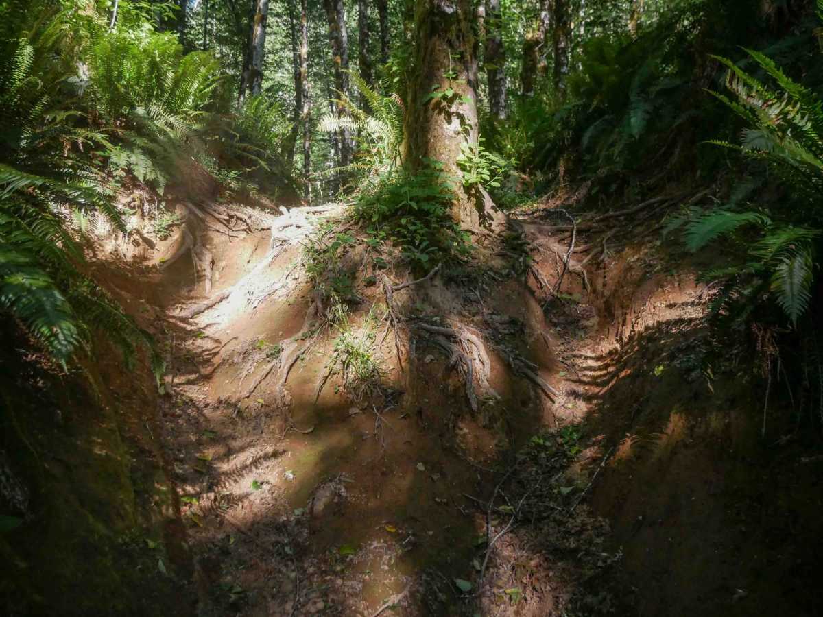 #47  trail photo