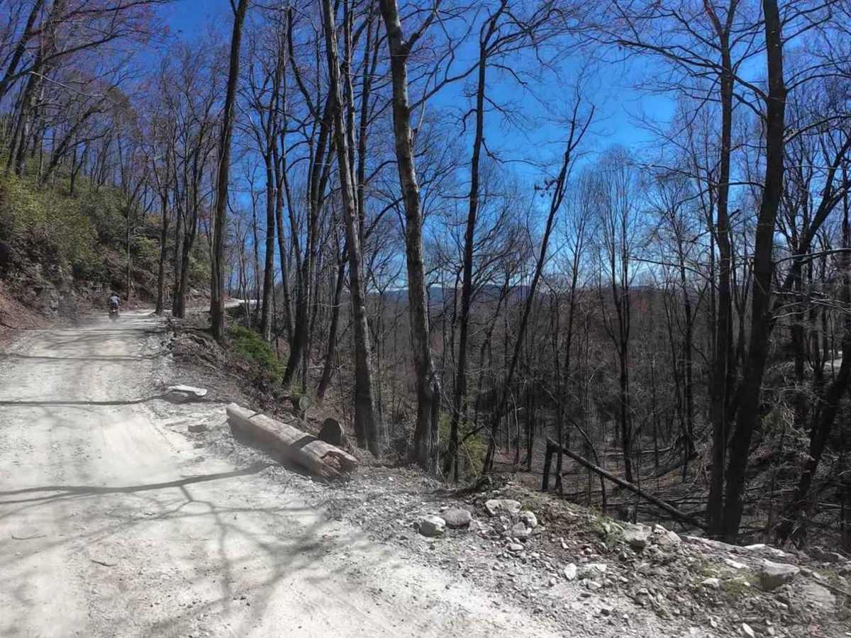Canebrake Road photo 5
