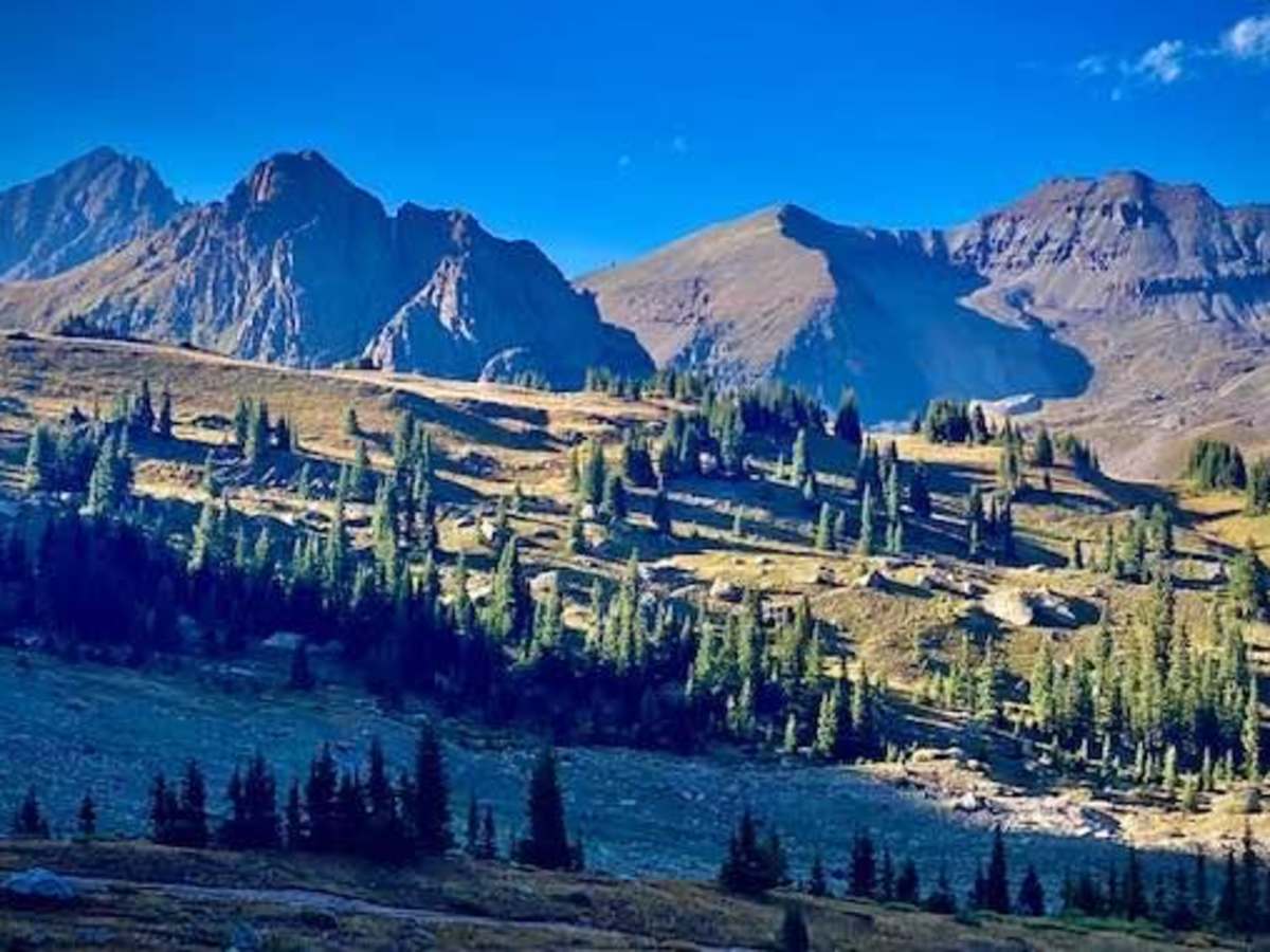Sidney Basin trail photo