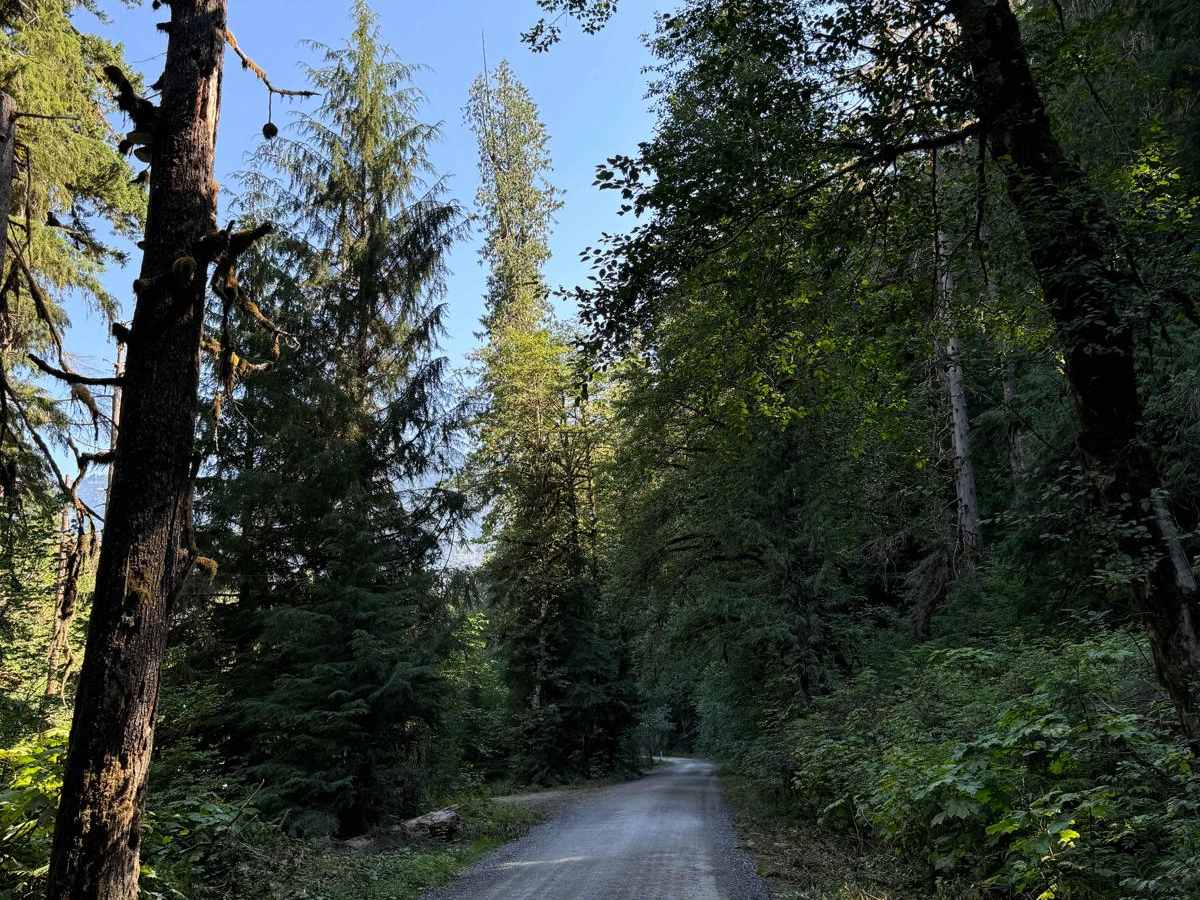 Mountain Loop photo 3
