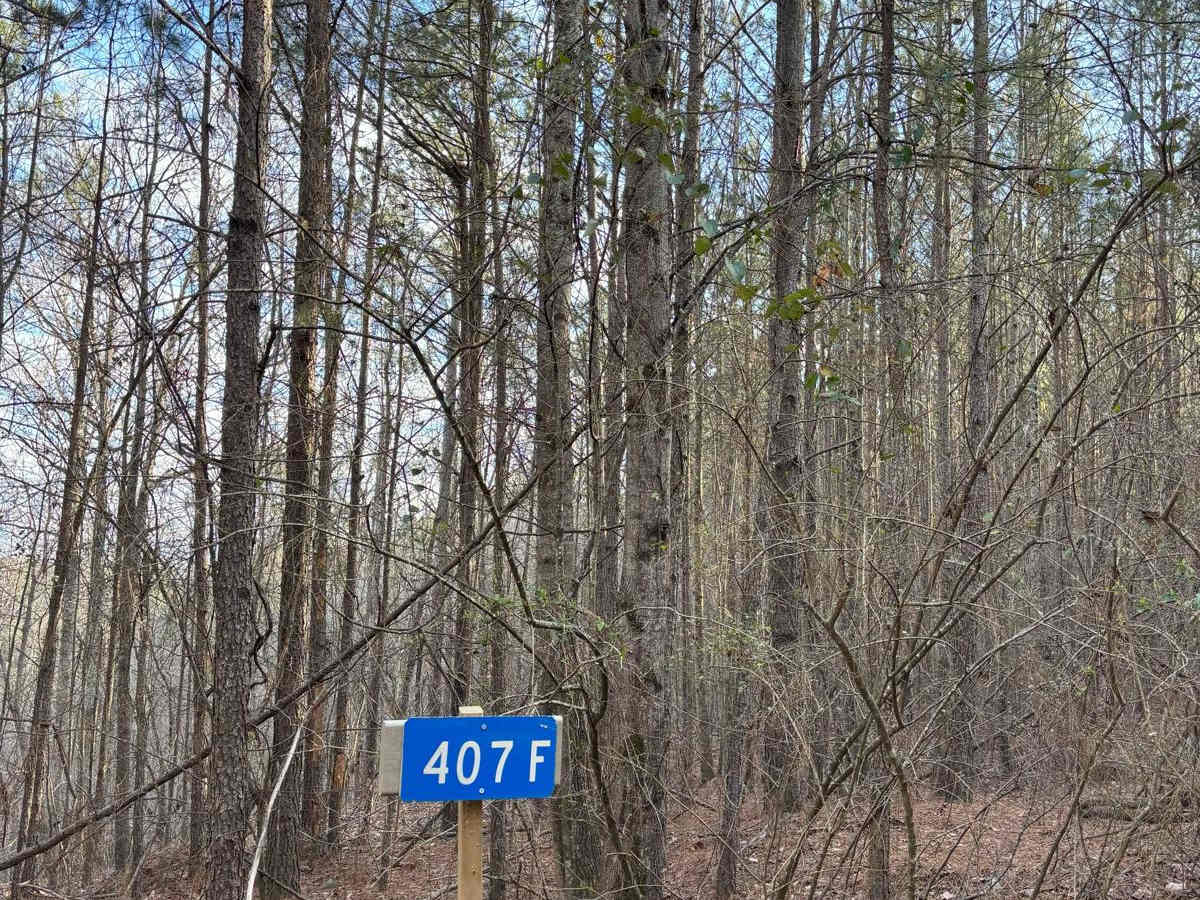 407F trail photo