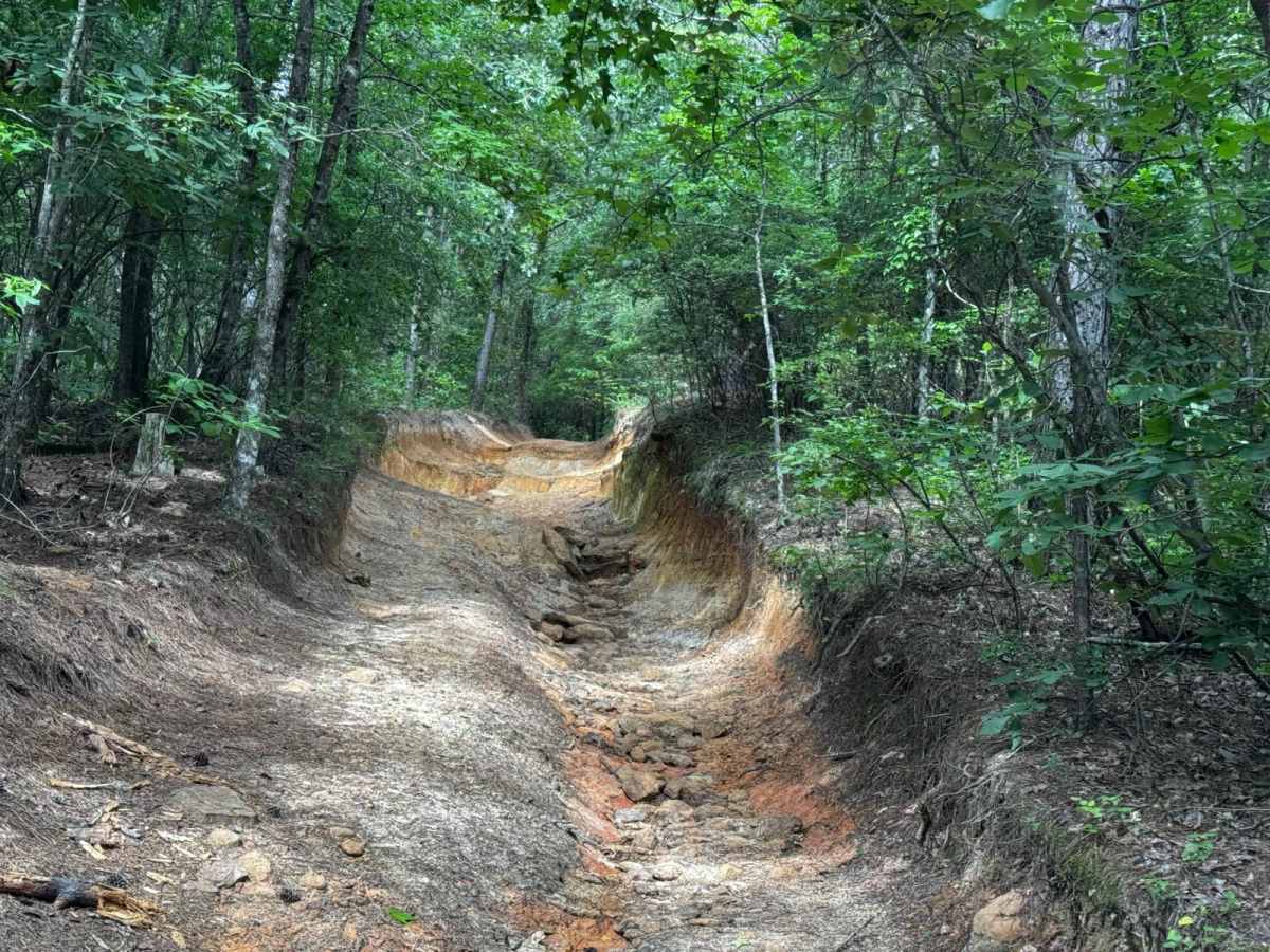 Humdinger trail photo