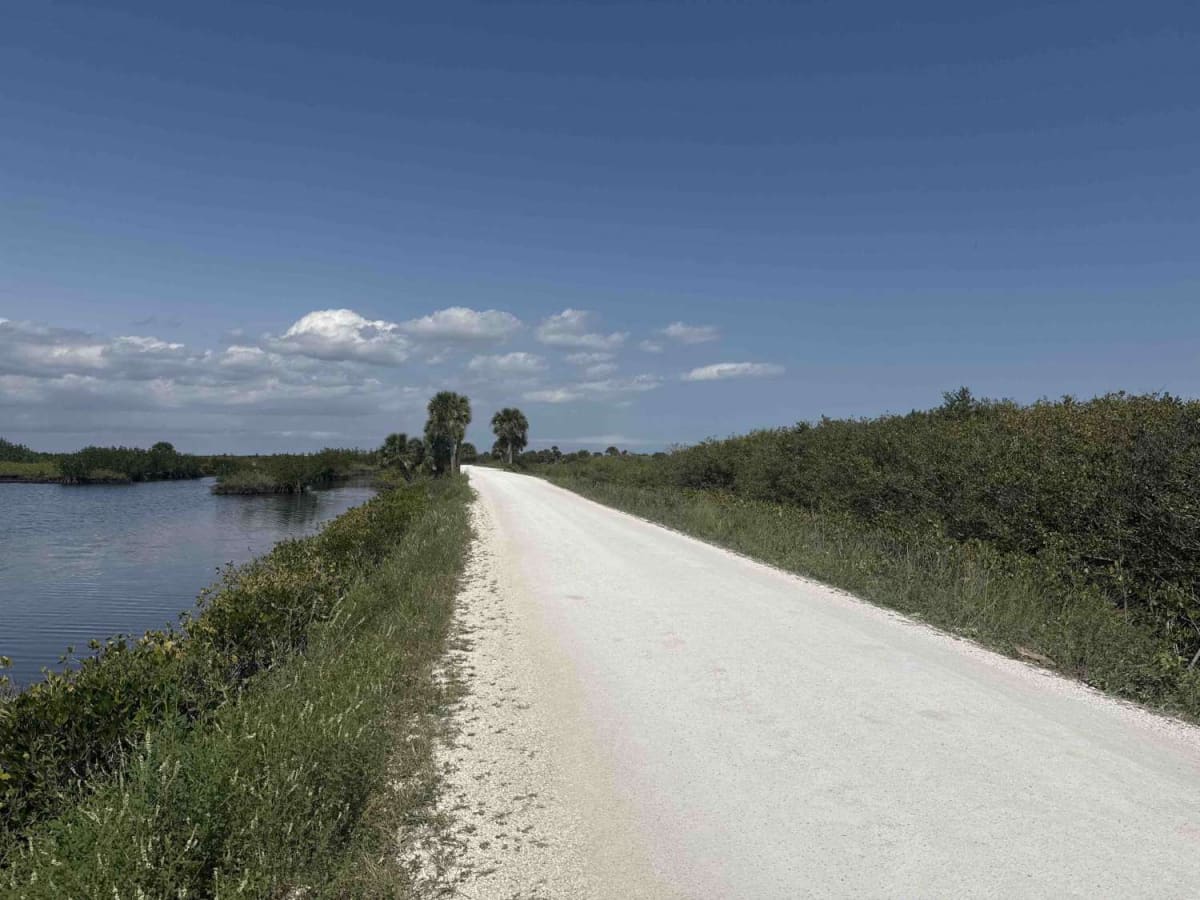 Black Point Wildlife Drive photo 3