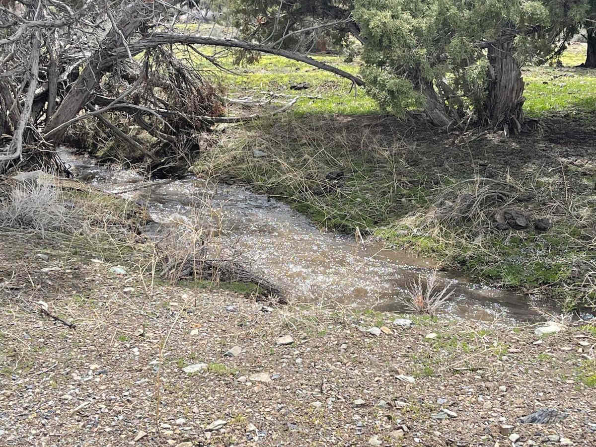 Spaulding Canyon Trail photo 4