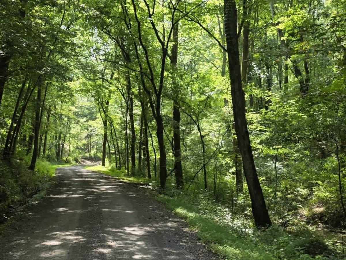 Gravley Hill Road - Macon County Tour photo 6